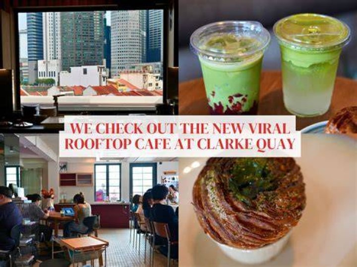 Best Cafe Shields & Protection for Your Business