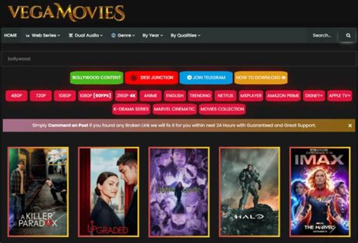 Exploring Vegamovies Zn: Your Ultimate Guide to Movies and More