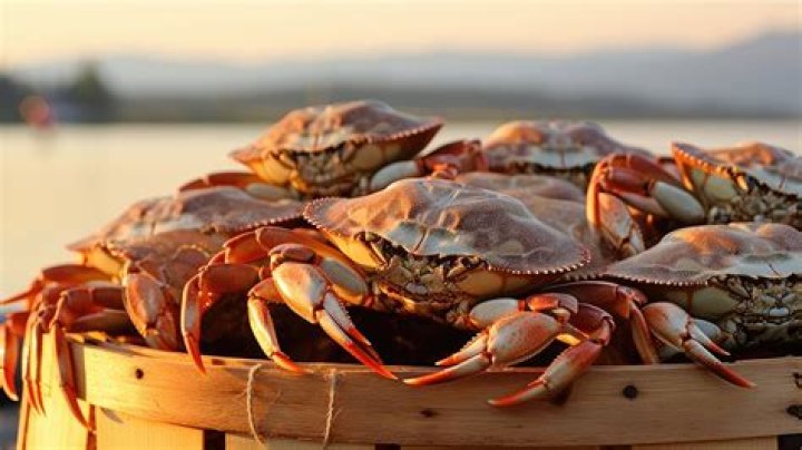 Fresh Crabs in Pikesville!