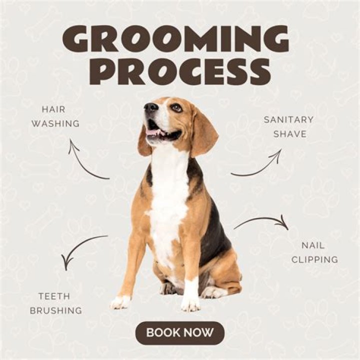 Paw-some Poochie Perfect Grooming Tips!