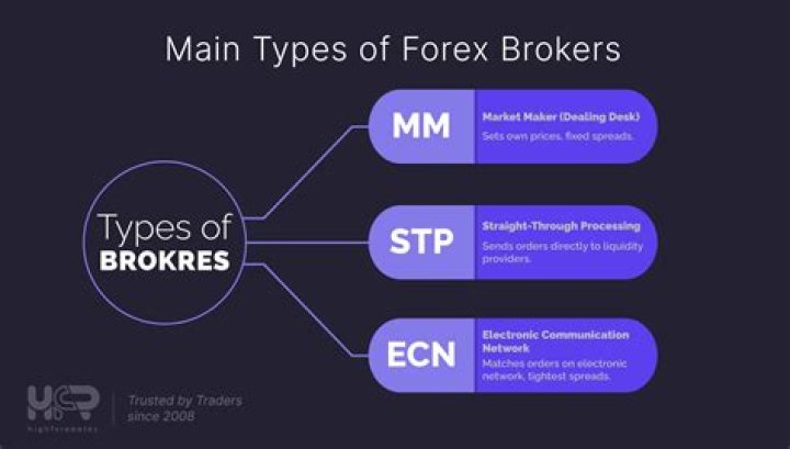 Unlock the Best: Expertly Rated ECN Brokers